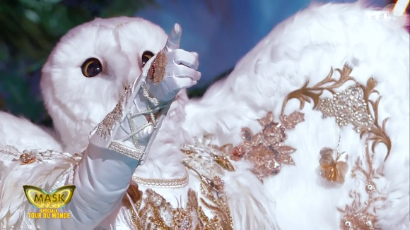 La chouette dans Mask Singer 9, prime du 22 mai - capture d'écran TF1