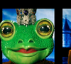 Avant de se démasquer 

La Grenouille dans "Mask Singer 7", capture d'écran TF1