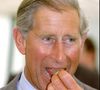 Le roi Charles III, après le décès de son illustre mère, la reine Elizabeth II, a pu accéder au trône du Royaume-Uni.
Le prince Charles en visite au Pays de Galles avec Camilla © GOFF INF / BESTIMAGE