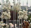 Eliot Deval a en effet immortalisé la scène de la demande en mariage : un sol recouvert d'un sublime tapis blanc à l'effet fausse fourrure parsemé de pétales, de douces bougies posées sur des cubes miroirs pour créer une ambiance tamisée, et surtout, de majestueuses structures métalliques blanches ornées de cascades de roses immaculées.

Eliot Deval a demandé sa compagne Morgane Renaudi en mariage.