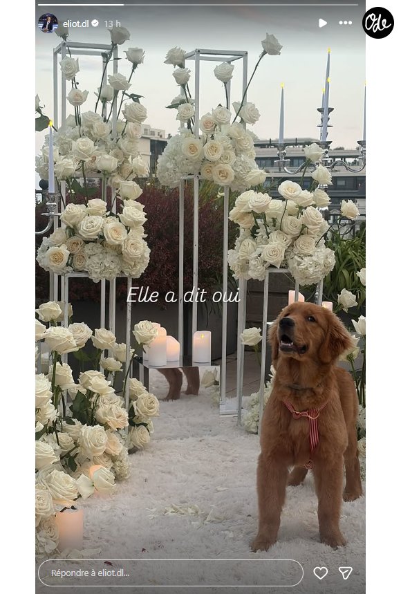 Eliot Deval a en effet immortalisé la scène de la demande en mariage : un sol recouvert d'un sublime tapis blanc à l'effet fausse fourrure parsemé de pétales, de douces bougies posées sur des cubes miroirs pour créer une ambiance tamisée, et surtout, de majestueuses structures métalliques blanches ornées de cascades de roses immaculées.

Eliot Deval a demandé sa compagne Morgane Renaudi en mariage.