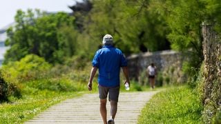 Marcher 30 minutes par jour est un bon début, mais ça ne suffira pas à entretenir votre santé : Un professeur des sciences du sport explique le problème