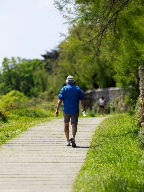 Marcher 30 minutes par jour est un bon début, mais ça ne suffira pas à entretenir votre santé : Un professeur des sciences du sport explique le problème
