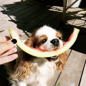 Story Instagram Laure Manaudou