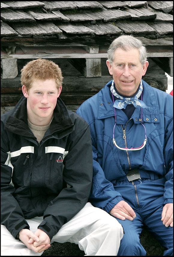Le prince Harry et le roi Charles III.

Photo : Aslan-Macault / Bestimage