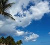 Sur Instagram, elle partage des moments de détente, couchers de soleil et instants de farniente.

Camille Gottlieb a partagé des images de son séjour paradisiaque sur l'Île Maurice. Capture d'écran Instagram