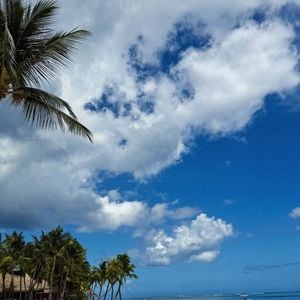 Sur Instagram, elle partage des moments de détente, couchers de soleil et instants de farniente.

Camille Gottlieb a partagé des images de son séjour paradisiaque sur l'Île Maurice. Capture d'écran Instagram