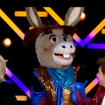 Mask Singer : L'Âne grand vainqueur, la star internationale qui se cachait sous le costume a déjà remporté Danse avec les stars