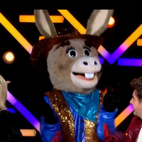 Mask Singer : L'Âne grand vainqueur, la star internationale qui se cachait sous le costume a déjà remporté Danse avec les stars