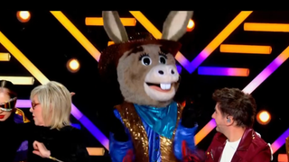 Mask Singer : L'Âne grand vainqueur, la star internationale qui se cachait sous le costume a déjà remporté Danse avec les stars
