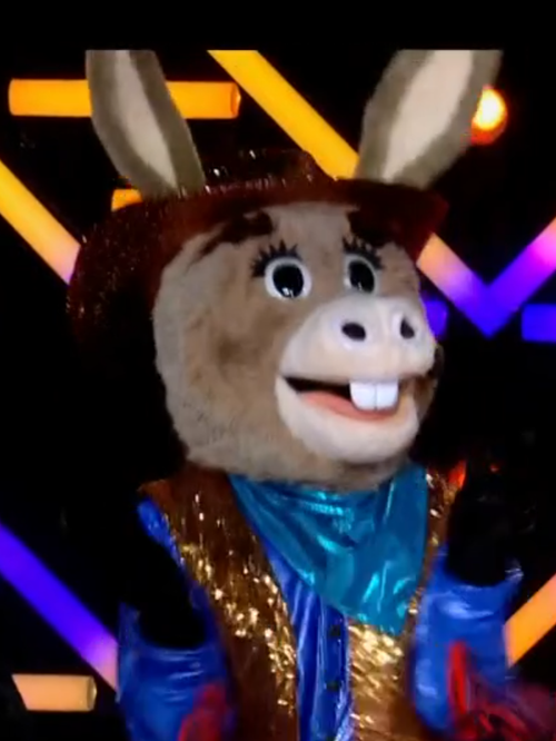 Mask Singer : L'Âne grand vainqueur, la star internationale qui se cachait sous le costume a déjà remporté Danse avec les stars