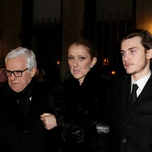 Michel Dion est le régisseur de la chanteuse et l’accompagne dans ses concerts.

Céline Dion, son fils René-Charles Angélil et son frère Michel Dion - La famille de René Angélil sort de la Basilique Notre-Dame de Montréal où tous les anonymes sont venus se recueillir en sa mémoire et présenter leurs condoléances à Céline Dion, la veille de ses funérailles, le 21 janvier 2016. © Dominique Jacovides/Bestimage