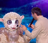 Il était face au Lapin et la Taupe

L'Agneau de Mask Singer 8, capture d'écran TF1