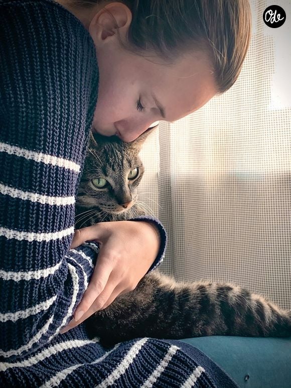 "Le chat nous considère comme un égal, il n’a pas cette relation de soumission", explique-t-il

Remy Gieling /Unsplash