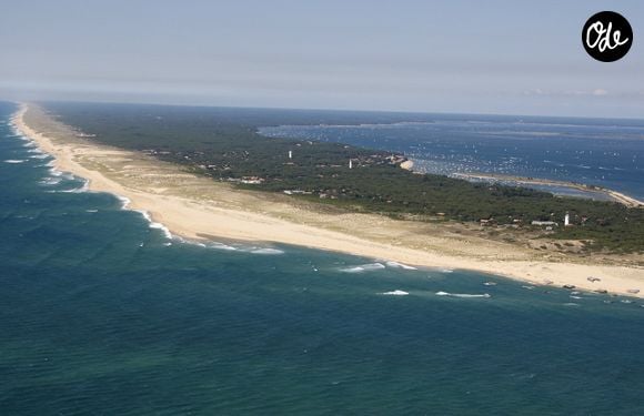 Ils possèdent une maison au Cap-Ferret.

Un lieu de tournage du film français « Les Petits Mouchoirs » (titre international « Little White Lies »), réalisé par le Français Guillaume Canet et mettant en vedette Marion Cotillard, Jean Dujardin et François Cluzet, au Cap-Ferret, dans le sud-ouest de la France, en 2011. Photo de Patrick Bernard/ABACAPRESS.COM
