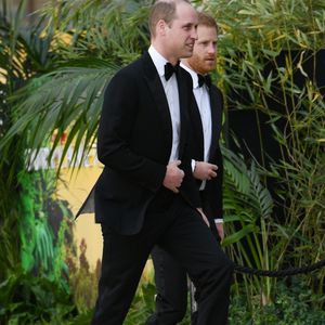 Le prince William, duc de Cambridge, le prince Harry, duc de Sussex, à la première de la série Netflix "Our Planet" au Musée d'Histoires Naturelles à Londres, le 4 avril 2019. Backgrid UK/ Bestimage