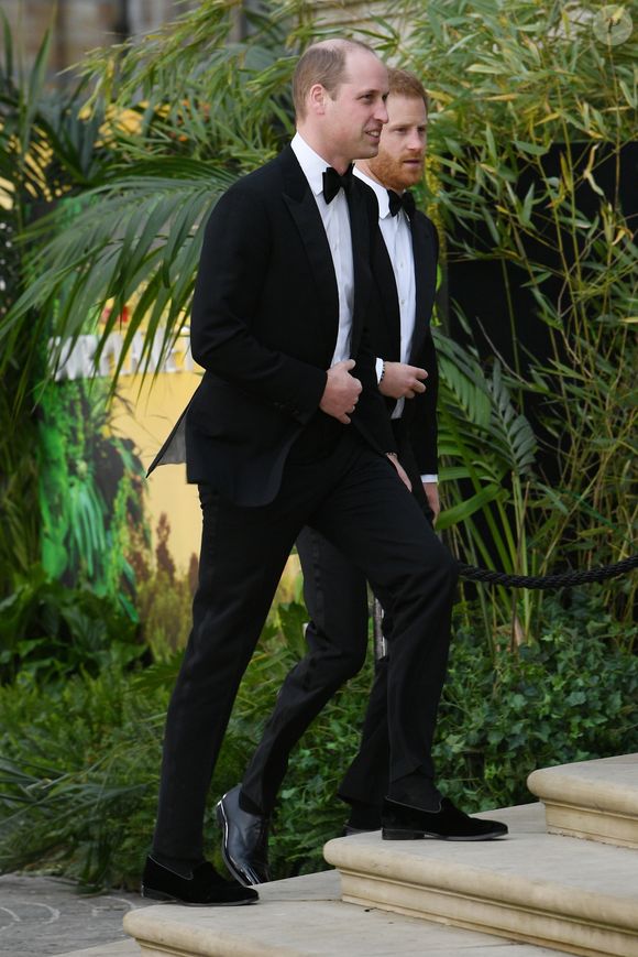 Le prince William, duc de Cambridge, le prince Harry, duc de Sussex, à la première de la série Netflix "Our Planet" au Musée d'Histoires Naturelles à Londres, le 4 avril 2019. Backgrid UK/ Bestimage