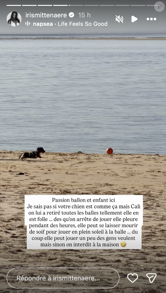"Je ne sais pas si votre chien est comme ça mais Cali, on lui a retiré toutes les balles tellement elle en est folle. Dès qu'on arrête de jouer, elle pleure pendant des heures, elle peut se laisser mourir de soif pour jouer en plein soleil à la balle..." 

Iris Mittenaere se confie sur Instagram.