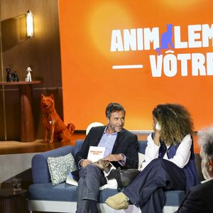Exclusif - Bernard Montiel, Oli, sur plateau de la nouvelle émission "Animalement Vôtre" présentée par Bernard Montiel et diffusée le 16 novembre sur France 3, à Paris, France, le 14 octobre 2025. © Jack Tribeca/Bestimage