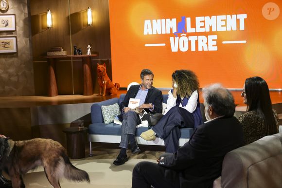 Exclusif - Bernard Montiel, Oli, sur plateau de la nouvelle émission "Animalement Vôtre" présentée par Bernard Montiel et diffusée le 16 novembre sur France 3, à Paris, France, le 14 octobre 2025. © Jack Tribeca/Bestimage