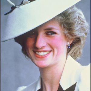 Il a récemment publié un livre intitulé "Le chant du cygne. Diana, ma sœur"

Archives - La Princesse Lady Diana © Lionel Cherruault / Bestimage