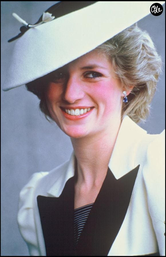 Il a récemment publié un livre intitulé "Le chant du cygne. Diana, ma sœur"

Archives - La Princesse Lady Diana © Lionel Cherruault / Bestimage
