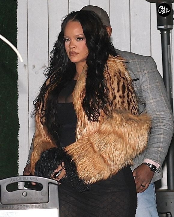 ASAP Rocky a organisé une fête d'anniversaire surprise pour Rihanna chez Giorgio Baldi à Santa Monica. 
Backgrid USA / Bestimage