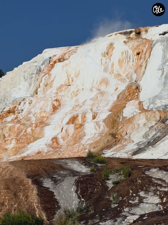 L'animatrice Marine Vignes, mère de la fille aînée de Nagui, en vacances en famille à Yellowstone.