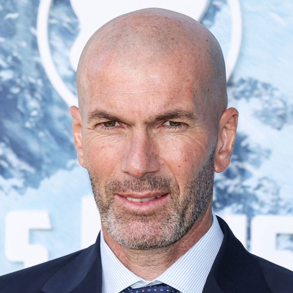 L'ancien joueur qui fête ses 53 ans ce 23 juin voit son nom associé à 9 sociétés.

Zinedine Zidane (Zizou) arrive à la Montblanc Meisterstuck 100th Anniversary Gallery qui se tient à Paramour Estate le 1er mai 2024 à Silver Lake, Los Angeles, Californie, États-Unis. Photo par Xavier Collin/Image Press Agency/ABACAPRESS.COM