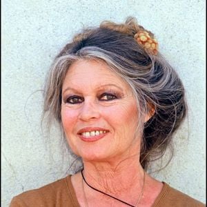 Elle s'est consacrée à la lutte contre la maltraitance animale dans la seconde partie de sa vie, par l'intermédiaire de la Fondation qui porte son nom

Brigitte Bardot.