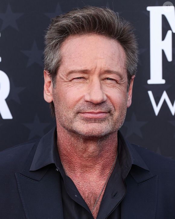 David Duchovny - Les célébrités lors de la 29ème cérémonie des "Critics' Choice Awards" à Los Angeles le 14 janvier 2024.

Photo : Backgrid USA / Bestimage
