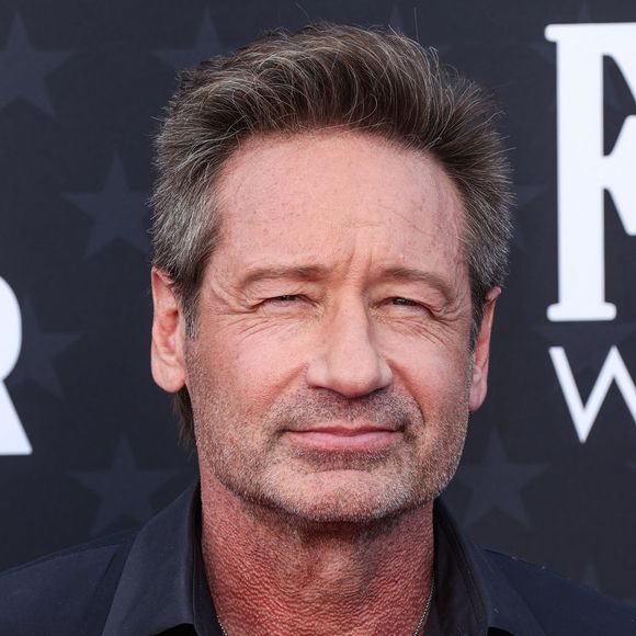 David Duchovny - Les célébrités lors de la 29ème cérémonie des "Critics' Choice Awards" à Los Angeles le 14 janvier 2024.

Photo : Backgrid USA / Bestimage
