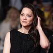 Tapis rouge du Festival de Cannes : ces personnalités sont sublimes, mais n'ont pas respecté le protocole… Zoom sur ces invités qui ont défiés les règles