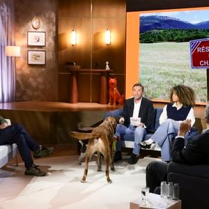 Bertrand Chameroy, Bernard Montiel et Oli sur plateau de l'émission "Animalement Vôtre" présentée par B.Montiel et diffusée le 25 janvier 2026 sur France 3, à Paris, France, le 3 décembre 2025. © Jack Tribeca/Bestimage