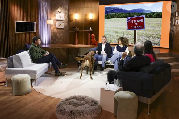 Bertrand Chameroy, Bernard Montiel et Oli sur plateau de l'émission "Animalement Vôtre" présentée par B.Montiel et diffusée le 25 janvier 2026 sur France 3, à Paris, France, le 3 décembre 2025. © Jack Tribeca/Bestimage