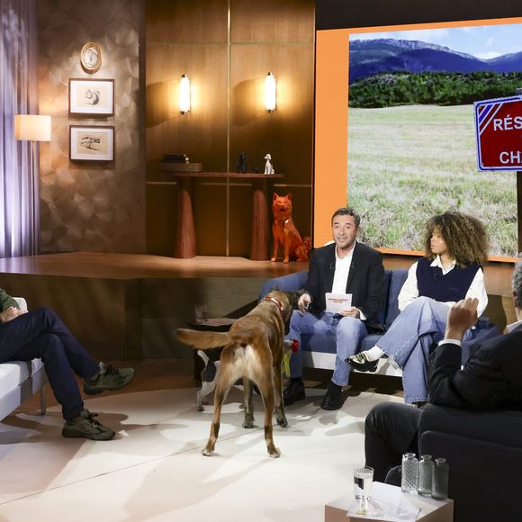 Bertrand Chameroy, Bernard Montiel et Oli sur plateau de l'émission "Animalement Vôtre" présentée par B.Montiel et diffusée le 25 janvier 2026 sur France 3, à Paris, France, le 3 décembre 2025. © Jack Tribeca/Bestimage