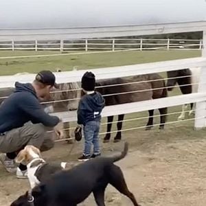 Harry et Archie dans une vidéo en mémoire de Guy, le Beagle de Meghan Markle, publiée sur son compte Instagram 
 Backgrid UK/ Bestimage