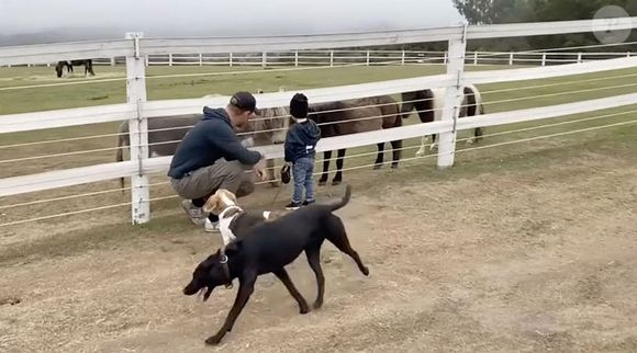 Harry et Archie dans une vidéo en mémoire de Guy, le Beagle de Meghan Markle, publiée sur son compte Instagram 
 Backgrid UK/ Bestimage