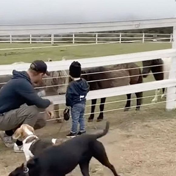 Harry et Archie dans une vidéo en mémoire de Guy, le Beagle de Meghan Markle, publiée sur son compte Instagram 
 Backgrid UK/ Bestimage