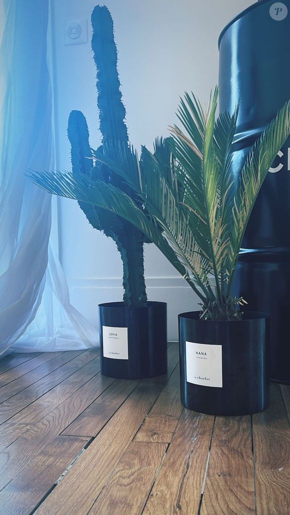 Amel Bent enceinte : elle dévoile de rares photos de sa maison en plein congé mat'