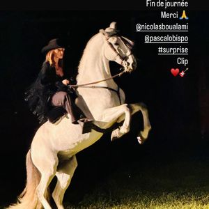 Laura Smet s'est montrée chevauchant un cheval blanc dans la nuit

Laura Smet tourne un clip avec Pascal Obispo. Instagram, le 2 mai 2025.