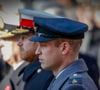 Harry et William ont le coeur lourd
Le prince William, duc de Cambridge, le prince Harry, duc de Sussex - La famille royale d'Angleterre lors du National Service of Remembrance à Londres