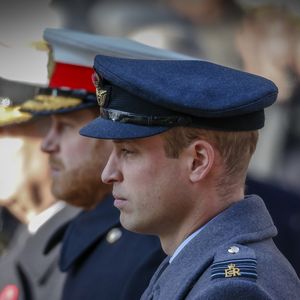 Harry et William ont le coeur lourd
Le prince William, duc de Cambridge, le prince Harry, duc de Sussex - La famille royale d'Angleterre lors du National Service of Remembrance à Londres
