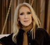 La griffe Maje a imaginé une collection capsule rétro et chic, sublimée par des clichés iconiques de la star. 

Capture d'écran de la vidéo Instagram de Céline Dion