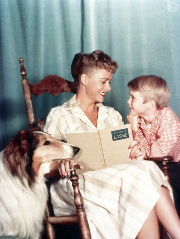 LASSIE, de gauche à droite : Lassie, June Lockhart, Jon Provost, (1963), 1954-1974. / TV Guide /Courtesy Everett Collection/ABACAPRESS.COM