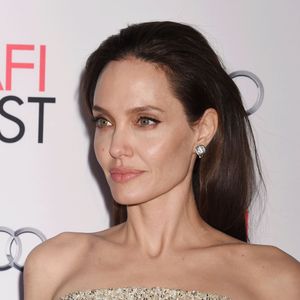 L’actrice possède également des intérêts dans le domaine viticole français avec le Château de Miraval, propriété acquise avec Brad Pitt en 2011 et devenue depuis un enjeu majeur de leur conflit judiciaire.

Angelina Jolie - Première de "By the Sea" à Los Angeles le 5 novembre 2015 dans le cadre de l'Audi Opening Night Gala.