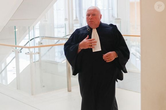 Maître Carlo Alberto Brusa (avocat de Stéphane Plaza) - Procès de Stéphane Plaza pour violences conjugales au tribunal de Paris Batignolles à Paris, France, le 28 août 2024. © Christophe Clovis / Bestimage