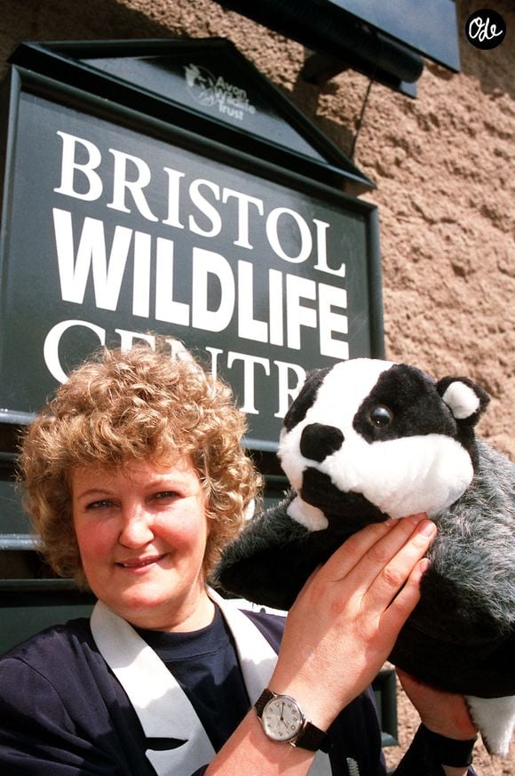 Brenda Fricker avait poursuivi sa carrière jusqu'aux années 2010, avant de prêter une dernière fois sa voix au film Le Club des miracles, sorti en 2023.

Photo d'archive datée du 10/05/90 montrant l'actrice oscarisée Brenda Fricker avec un blaireau en peluche après avoir inauguré le premier centre urbain dédié à la faune sauvage de Grande-Bretagne, à Bristol. Crédit photo : Barry Batchelor/PA Wire. Référence unique n° 85332852 ... Crédit photo : Barry Batchelor/PA Wire
