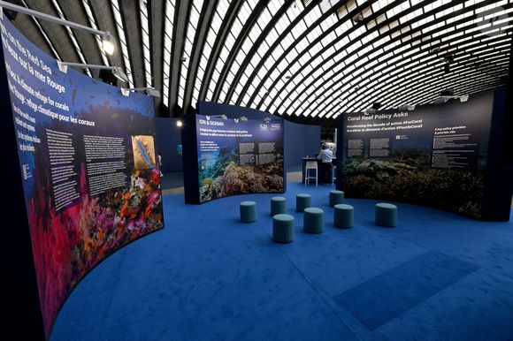 Visite inaugurale de "La Baleine", le temps de l'UNOC, la conférence de l'ONU sur les océans, en présence de Christian Estrosi, le maire de Nice, Olivier Poivre d’Arvor, l'ambassadeur pour les pôles et les enjeux maritimes au Ministère de l’Europe et des Affaires étrangères, Laurent Hottiaux, le nouveau préfet des Alpes-Maritimes, Ashok Adicéam, le délégué général de l'UNOC en charge du projet, Richard Chemla. l'adjoint délégué à la transition écologique et énergétique, à la santé et au bien-être, et Olivier Bettati, délégué général de la mission UNOC à la mairie de Nice, au Palais des expositions à Nice, le 2 juin 2025.
© Bruno Bebert/Bestimage