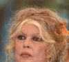 Aujourd’hui, il ne resterait plus que « neuf moutons, quatre cochons vietnamiens, quatre chiens et une quinzaine de chats », contre une soixantaine auparavant. 

Archives - Brigitte Bardot le 1er juin 2011 à Paris. Denis Guignebourg / Bestimage